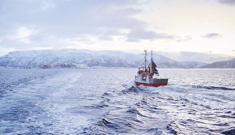 Crispy Batter, double cooked chips, homemade tartare sauce, sustainable fish